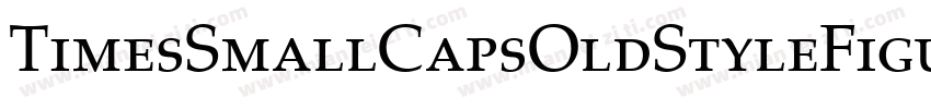 TimesSmallCapsOldStyleFigures Bold字体转换